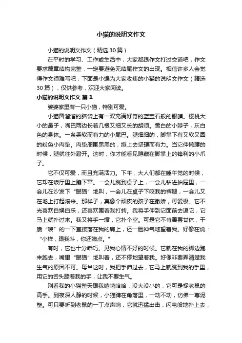 小猫的说明文作文（精选30篇）