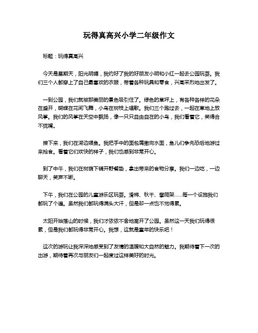 玩得真高兴小学二年级作文