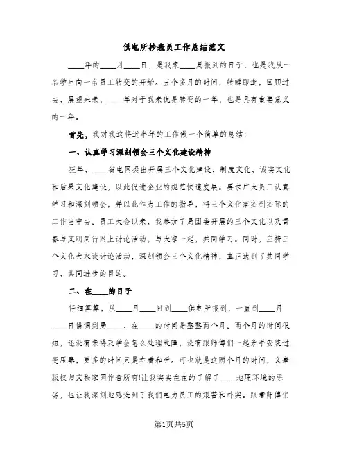 供电所抄表员工作总结范文（2篇）