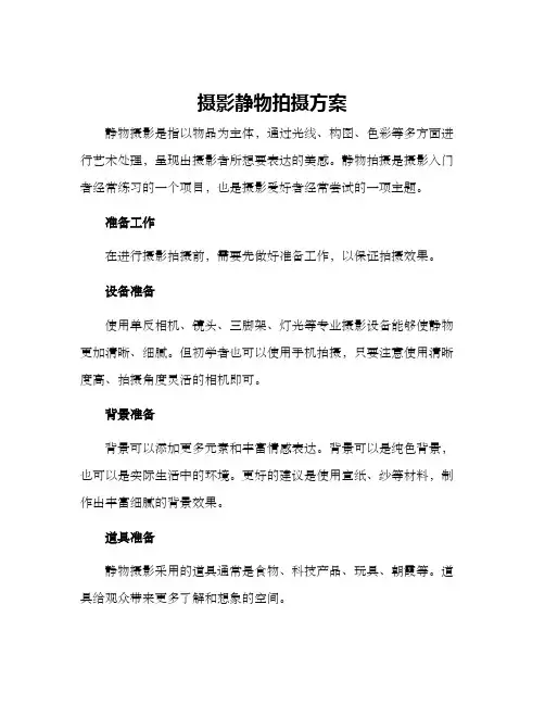 摄影静物拍摄方案