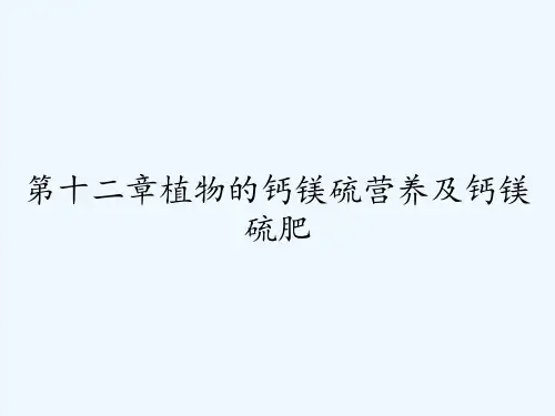 第十二章植物的钙镁硫营养及钙镁硫肥 PPT