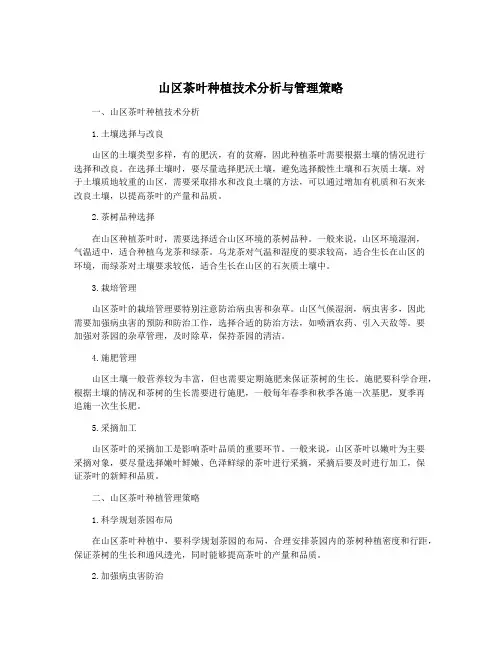 山区茶叶种植技术分析与管理策略