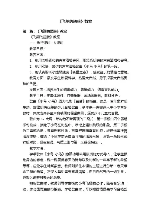 《飞翔的翅膀》教案