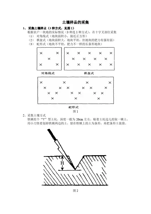 土壤样品采集流程