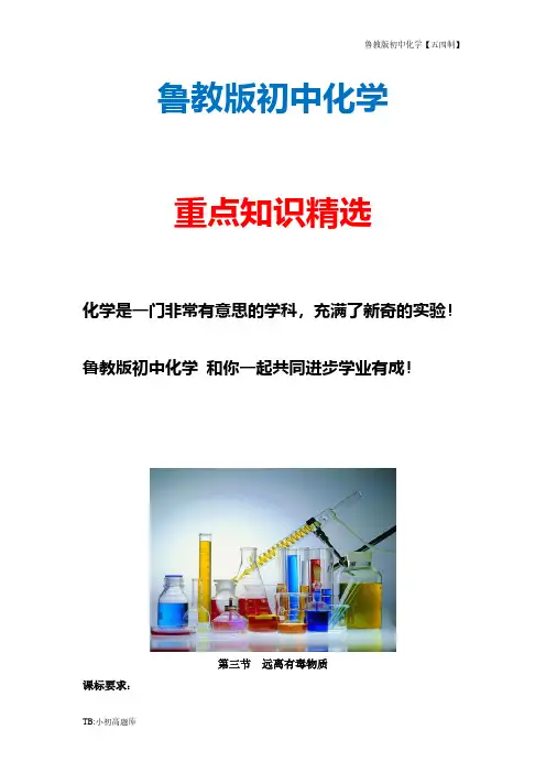 鲁教版初中化学五四制九年级全册《远离有毒物质》参考教案1