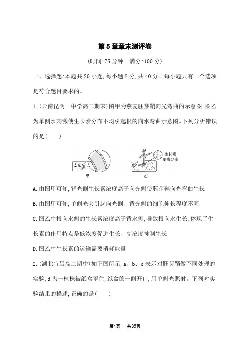 人教版高中生物学选择性必修1稳态与调节课后习题 第5章 植物生命活动的调节 第5章章末测评卷