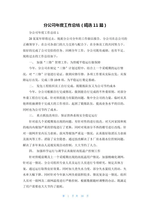 分公司年度工作总结(精选11篇)
