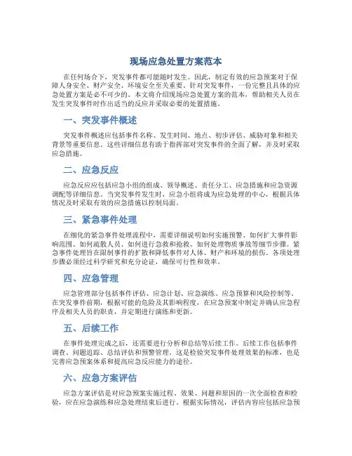 现场应急处置方案范本