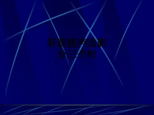 肝脏超声造影分三个时ppt课件