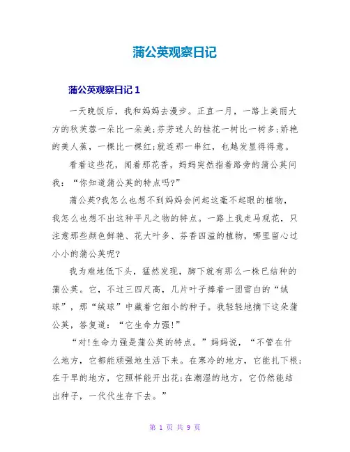 蒲公英观察日记