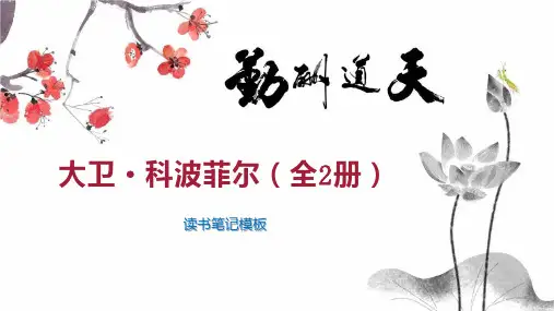 大卫 科波菲尔(全2册)