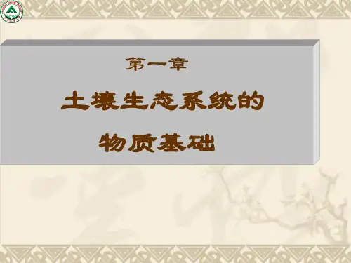 土壤生态系统的.ppt