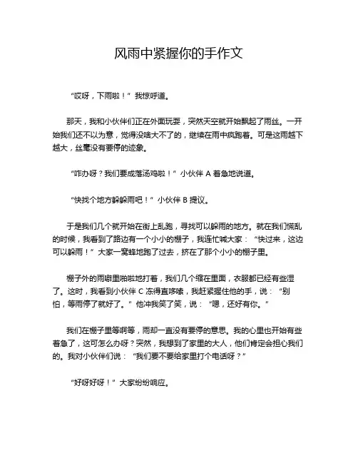 风雨中紧握你的手作文
