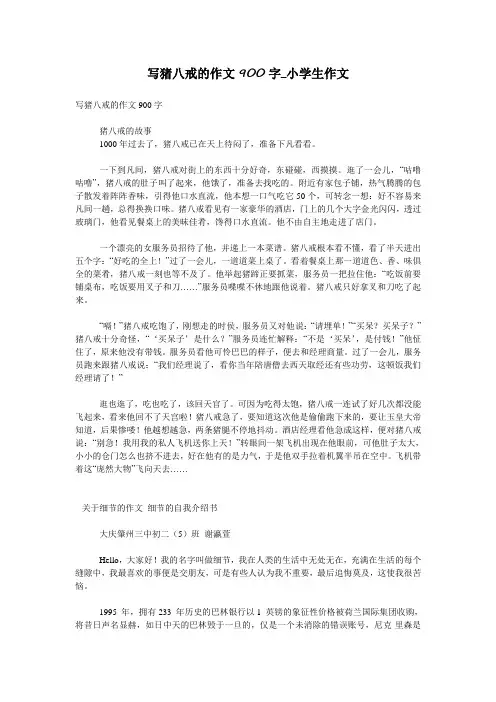 写猪八戒的作文900字_小学生作文