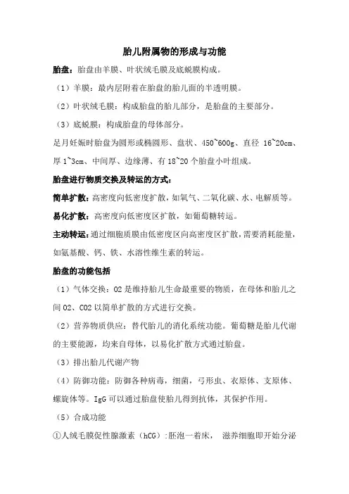 胎儿附属物的形成与功能