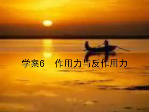 高中物理-3.6-作用力与反作用力-9课件-粤教版必修1
