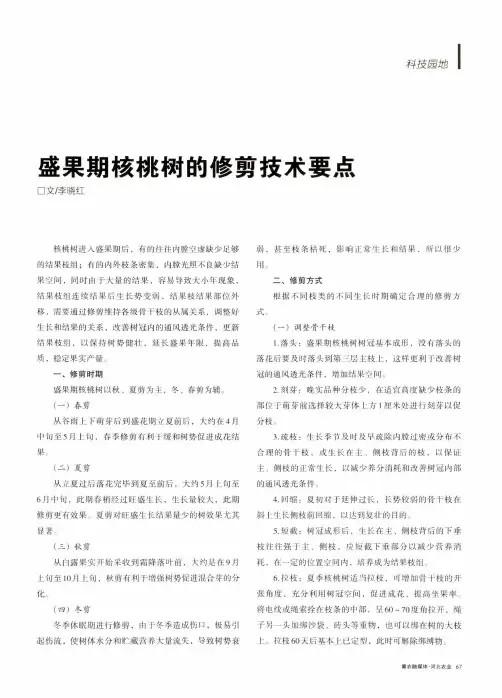 盛果期核桃树的修剪技术要点