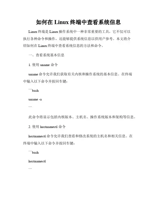 如何在Linux终端中查看系统信息