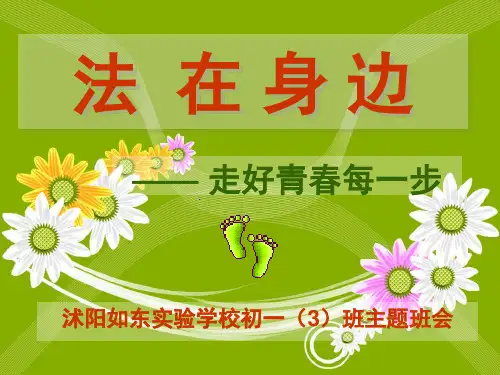 法在身边——走好青春每一步(课堂PPT)