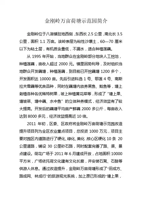 金刚岭万亩荷塘示范园情况简介