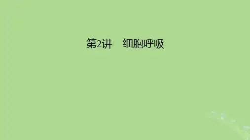 2025版高考生物一轮总复习必修1第3单元细胞的能量供应和利用第2讲细胞呼吸课件