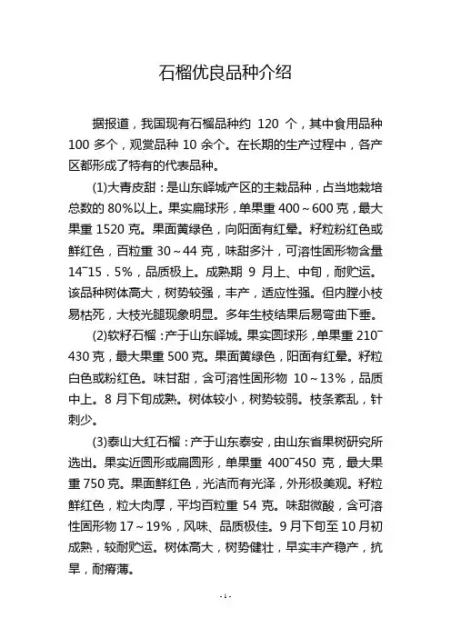 石榴优良品种介绍
