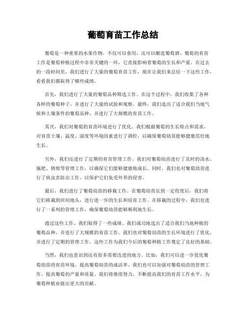 葡萄育苗工作总结