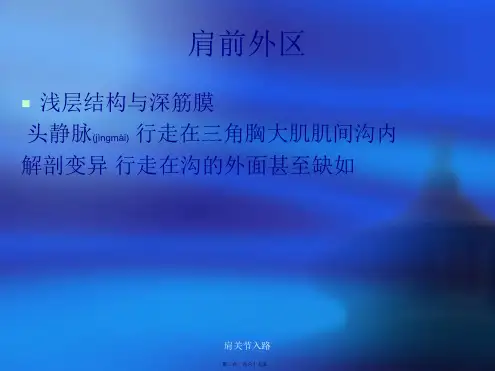 肩关节入路课件