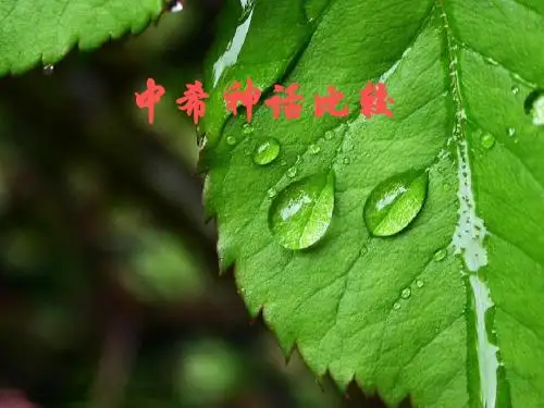 中希神话比较myth