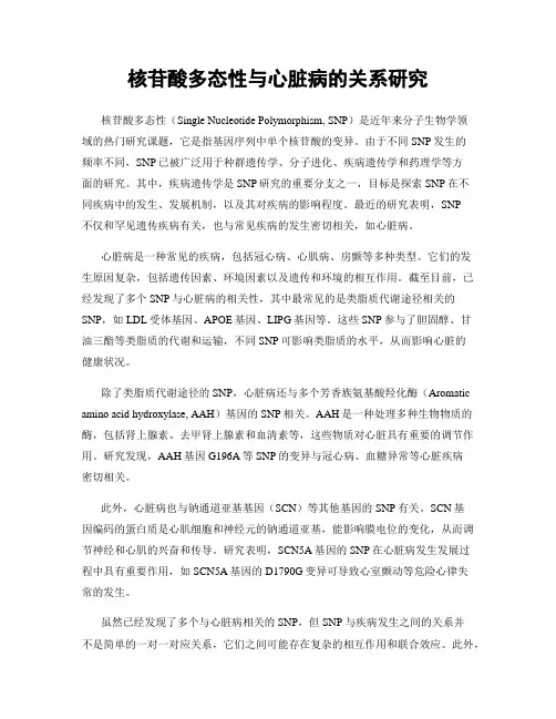 核苷酸多态性与心脏病的关系研究