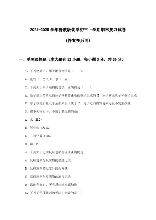 2024-2025学年鲁教版初三上学期期末化学试卷及答案指导