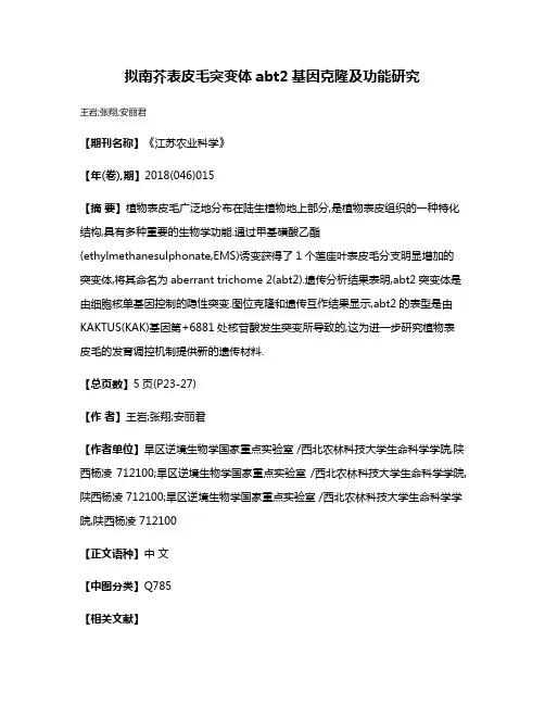 拟南芥表皮毛突变体abt2基因克隆及功能研究
