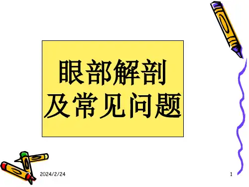 眼科基础知识【精品PPT】 