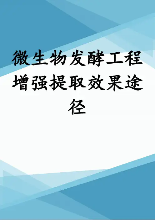 微生物发酵工程增强提取效果途径