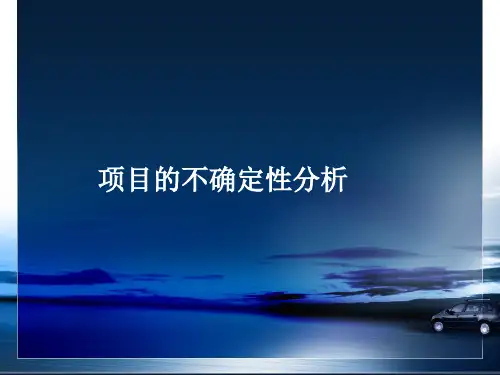 项目的不确定性分析