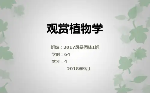 观赏植物学绪论观赏植物概念和功能