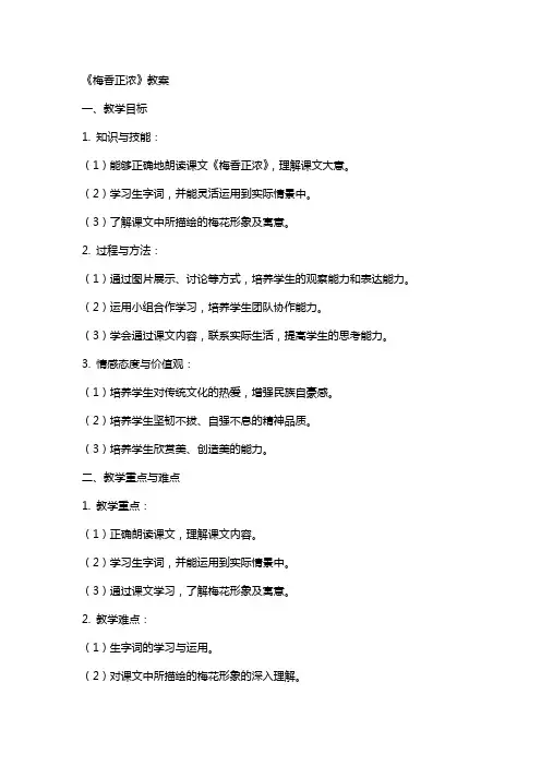 课文《梅香正浓》教案