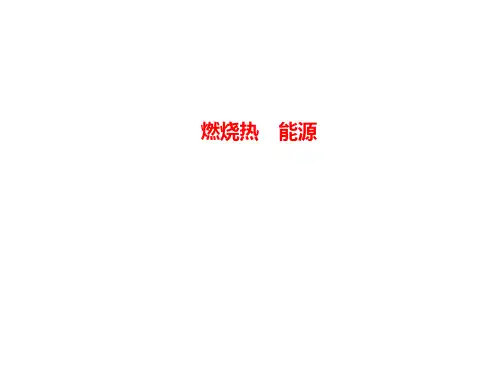 燃烧热、能源课件