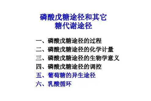 磷酸戊糖途径