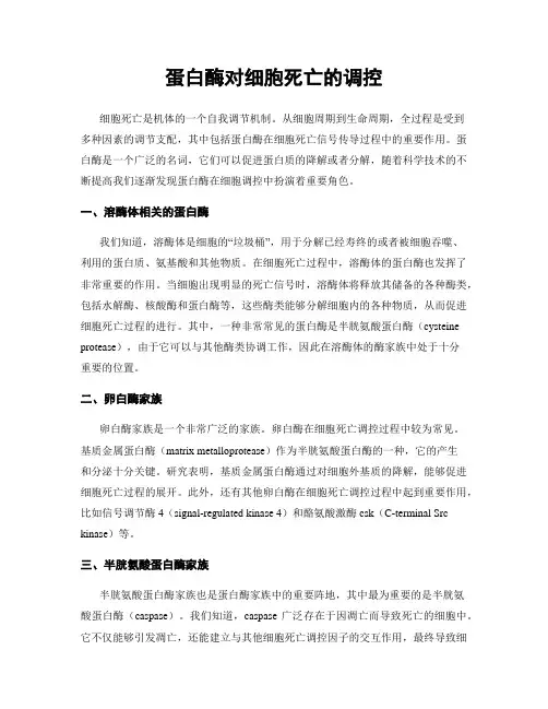 蛋白酶对细胞死亡的调控