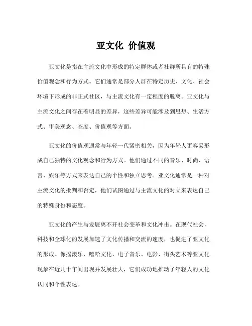 亚文化 价值观