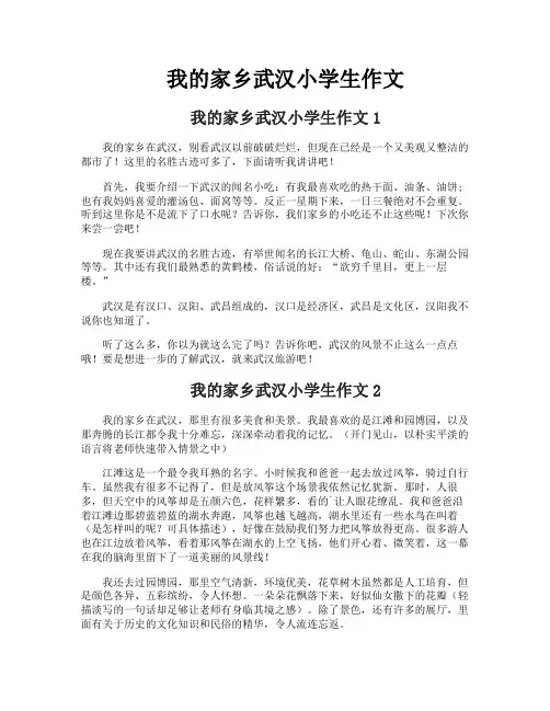 我的家乡武汉小学生作文