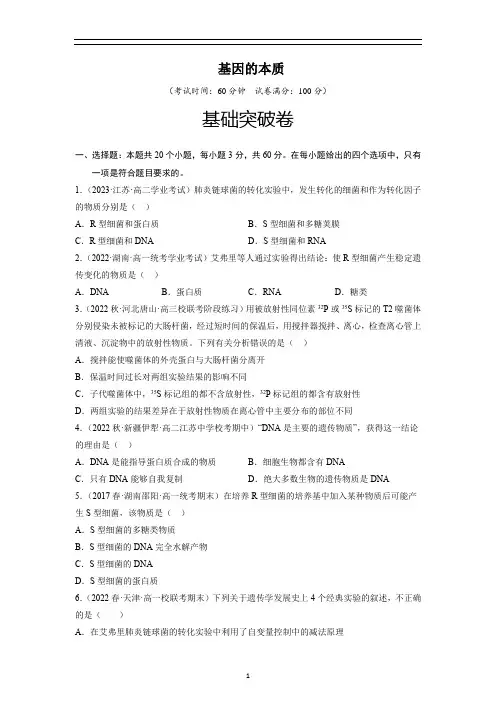 基因的本质(基础突破卷)-高一生物基础与培优高效突破测试卷(人教版2019必修2)(原卷版)
