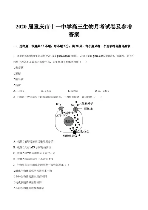 2020届重庆市十一中学高三生物月考试卷及参考答案
