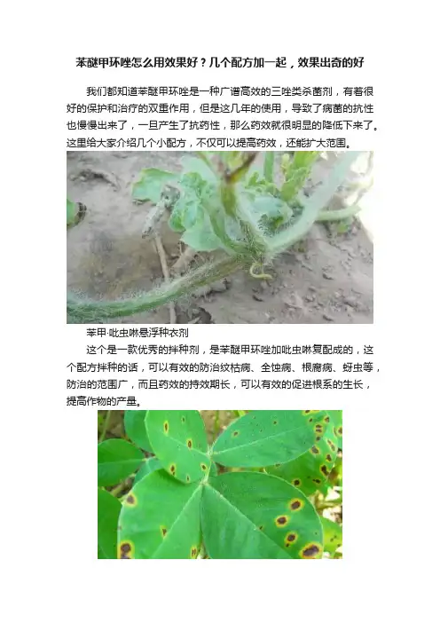 苯醚甲环唑怎么用效果好？几个配方加一起，效果出奇的好