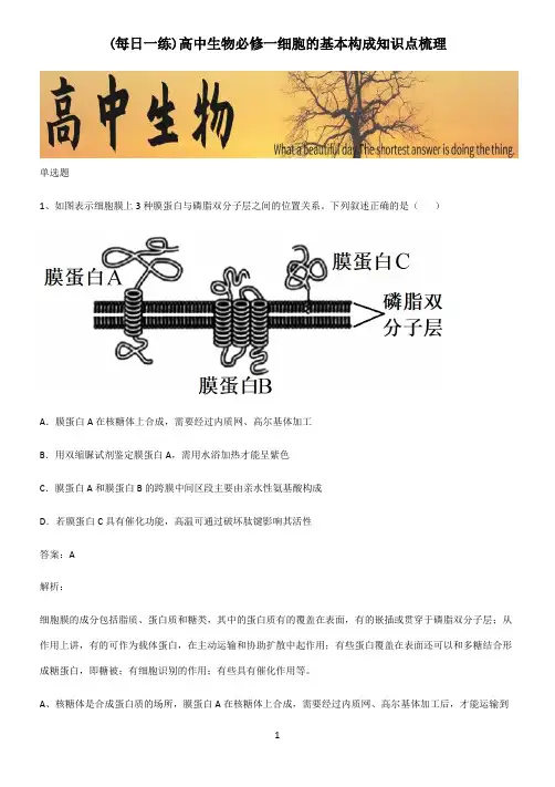 高中生物必修一细胞的基本构成知识点梳理