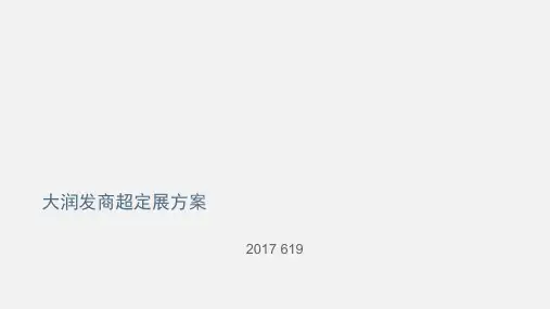 大润发商超定展方案