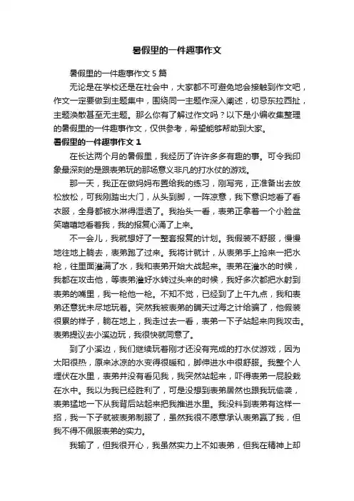 暑假里的一件趣事作文5篇