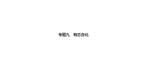 (中考物理强化)专题九 物态变化