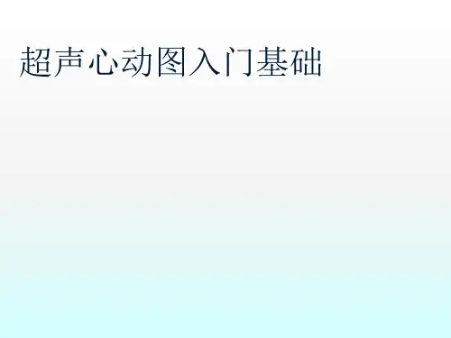 超声心动图入门基础PPT课件